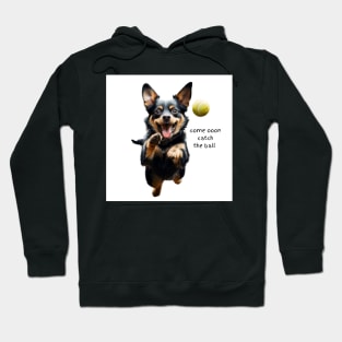 Lancashire heeler Hoodie